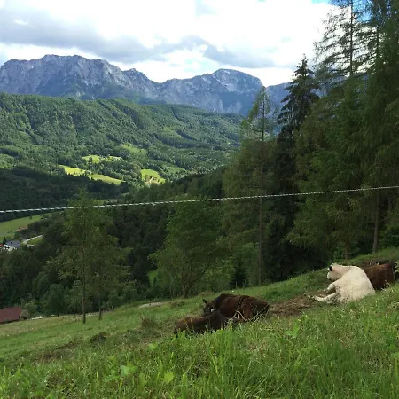 Apartment Kreitalm - Kraftplatz Im Salzkammergut *