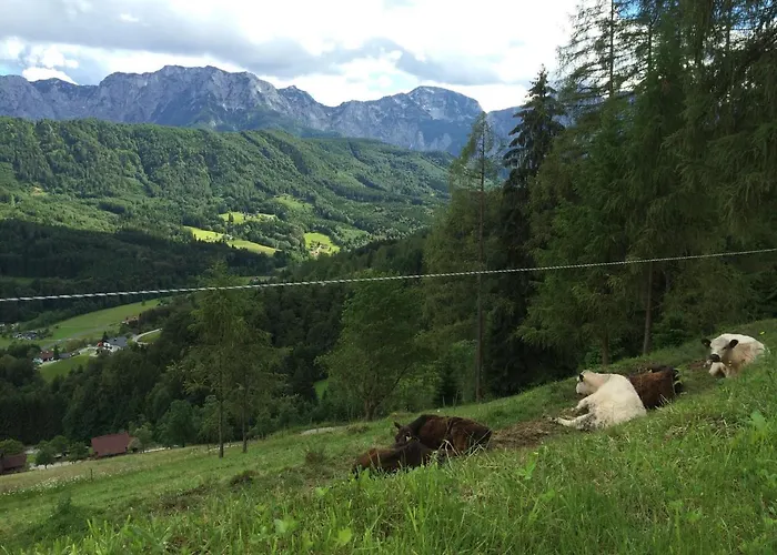 Apartamento Kreitalm - Kraftplatz Im Salzkammergut *