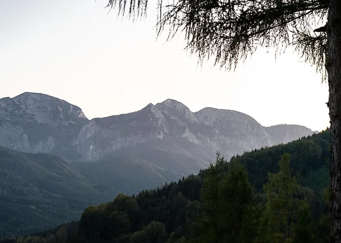 Kreitalm - Kraftplatz Im Salzkammergut Apartmán Neukirchen (Altmunster)